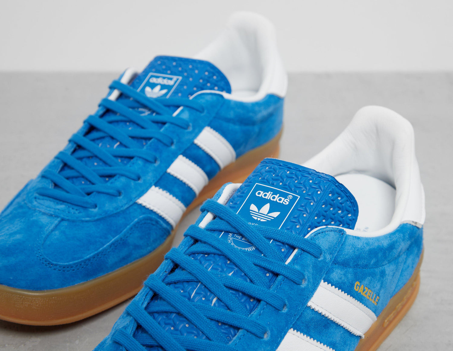 GAZELLE INDOOR BLU/WHT
