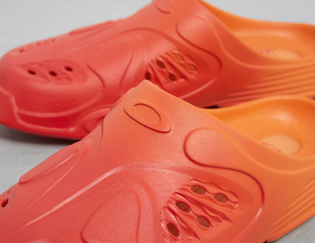 !PAGURO ORG/AURA/ORG