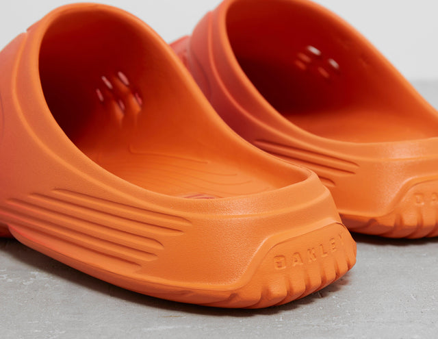 !PAGURO ORG/AURA/ORG