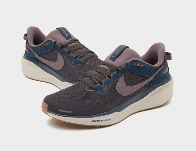 Pegasus 41