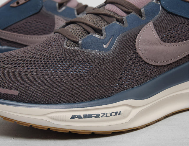 Pegasus 41