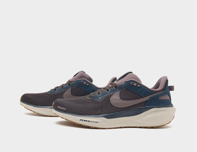 Pegasus 41
