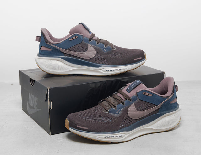 Pegasus 41