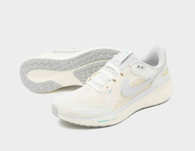 Pegasus 41