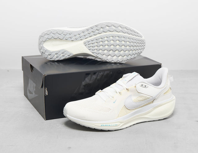 Pegasus 41