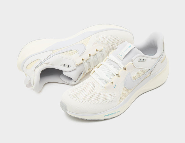 Pegasus 41