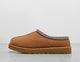 TASMAN CHESTNUT