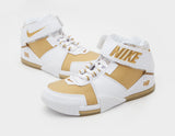 Zoom LeBron II QS