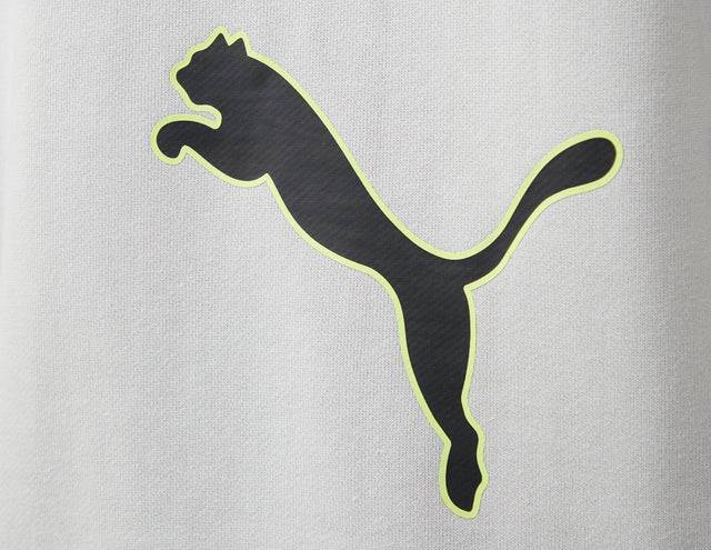 PUMA X PAM CREW GRY