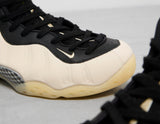 Air Foamposite One