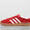 Gazelle Indoor