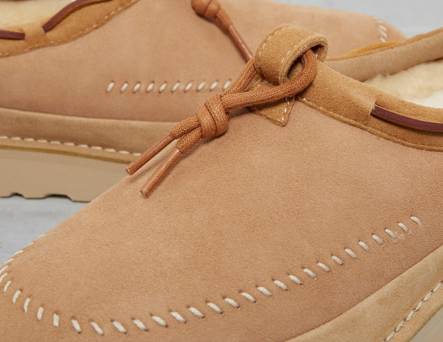 TASMAN CFTD REGEN SAND