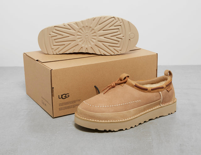 TASMAN CFTD REGEN SAND