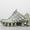 Shox TL Women's