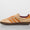 Gazelle Indoor