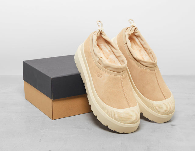 TASMAN HYBRID CRM/CRM