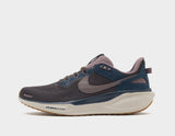 Pegasus 41