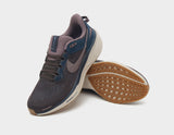 Pegasus 41