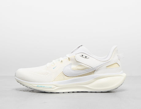 Pegasus 41