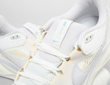 Pegasus 41