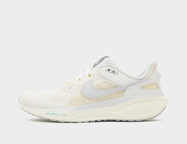 Pegasus 41
