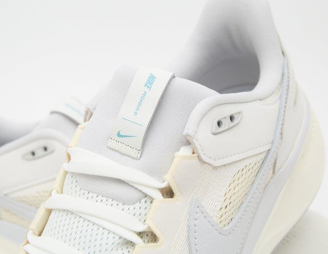 Pegasus 41