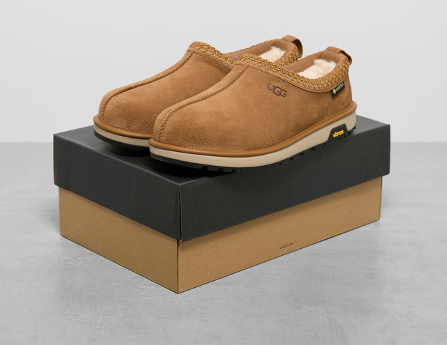TASMAN GTX BRN