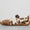 Speedcat Ballet Pony Hair Women's