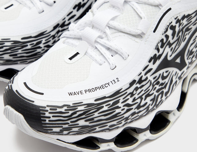 Wave Prophecy 13.2