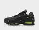 Air Max 95 'Houseflies'