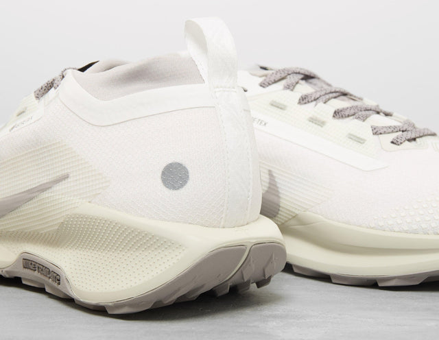 Pegasus Trail 5 GORE - TEX - Men's Footwear